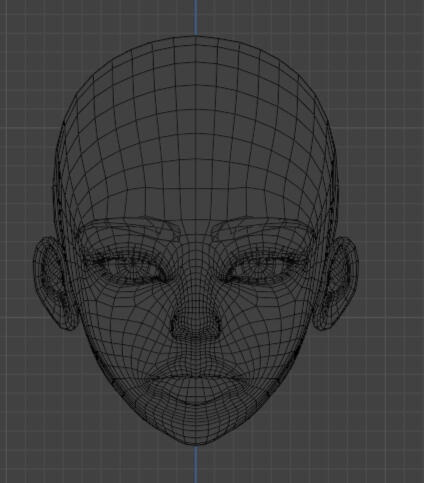 WIP Head Wireframe